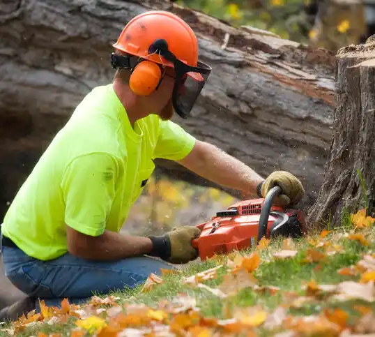 tree services North Wildwood